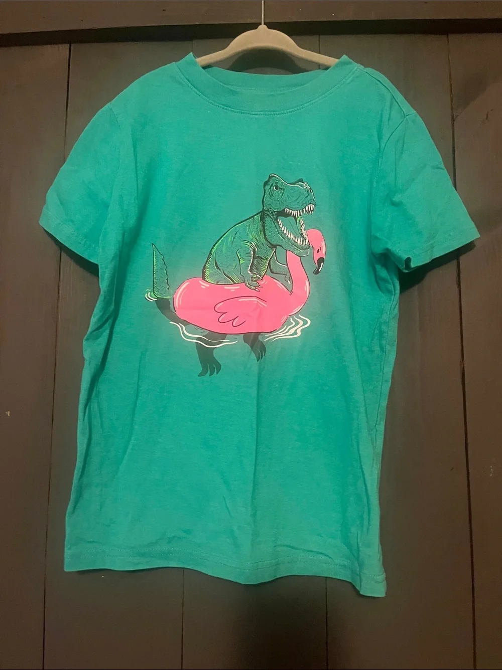Cat & Jack Teal Tee with Dino on Pink Flamingo Graphic